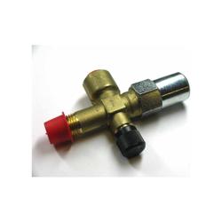 York - 022-09539-000 - Angle Valve Ph Assy