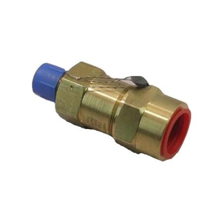 Valve Relief (300.0 Psi) York - 022-09505-000 - Valve Relief (300.0 Psi)