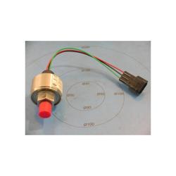 York - 025-28678-009 - Transducer Pres