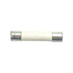 York - 025-14019-000 - Bussman Fuse 5 Amp 250 Volt