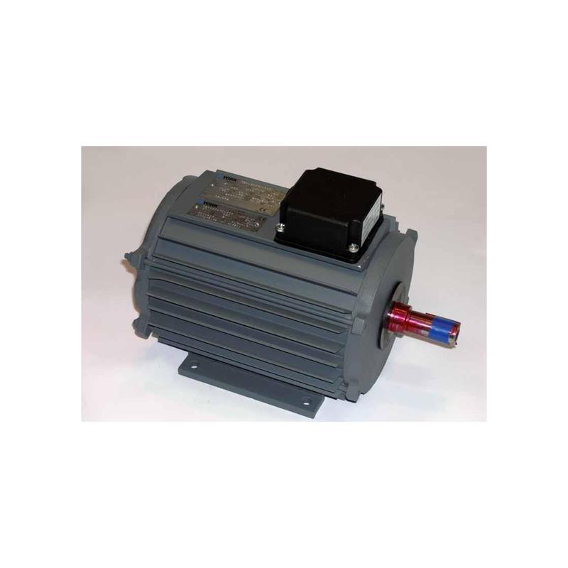 York - 024-30900-001 - Motor Fan York - 024-30900-001 - Motor Fan