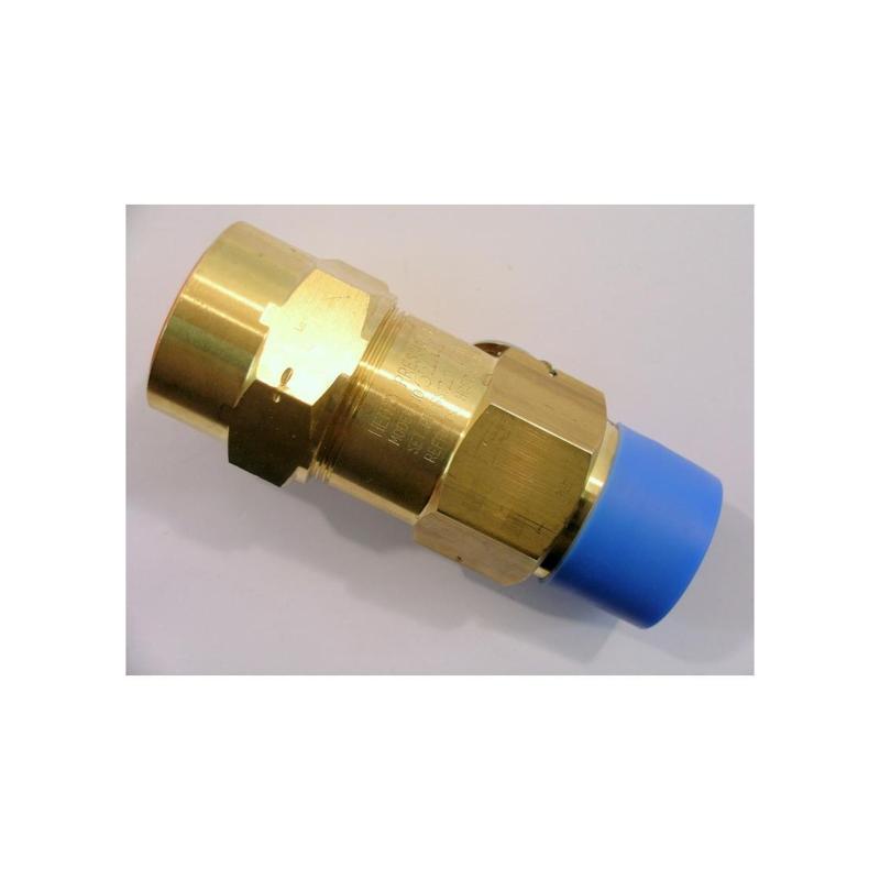 York - 022-06787-000 - Valve Relf 1 Nptex1