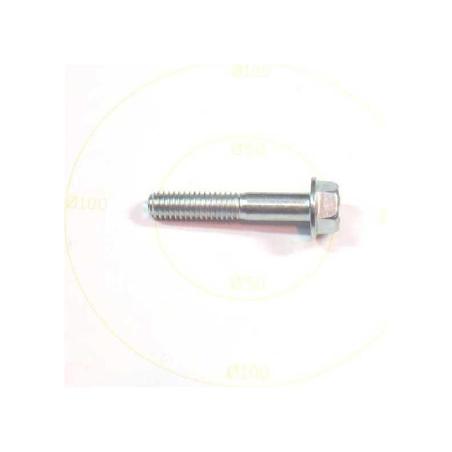Screw York - 021-17768-000 - Screw