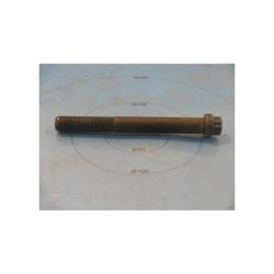 York - 021-17398-000 - Screw Cap 12 Pt Hd 1/2-20