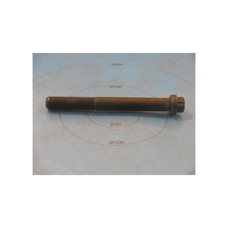 York - 021-17398-000 - Screw Cap 12 Pt Hd 1/2-20 York - 021-17398-000 - Screw Cap 12 Pt Hd 1/2-20