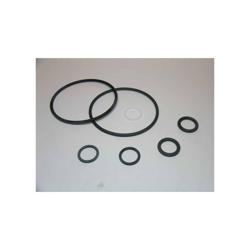 York - 375-65117-002 - Kit O-Ring 2 Inch Valve