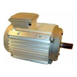 York - 024-36874-004 - 3 Hp Teao Motor