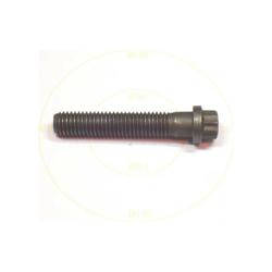 York - 021-11975-000 - Screw Cap 12Pt 1/2 -13X2-3/4