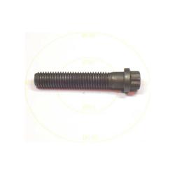 York - 021-11975-000 - Screw Cap 12pt 1/2 -13x 2