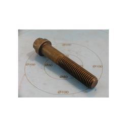 York - 021-11673-000 - Screw Cap 12pt Hd