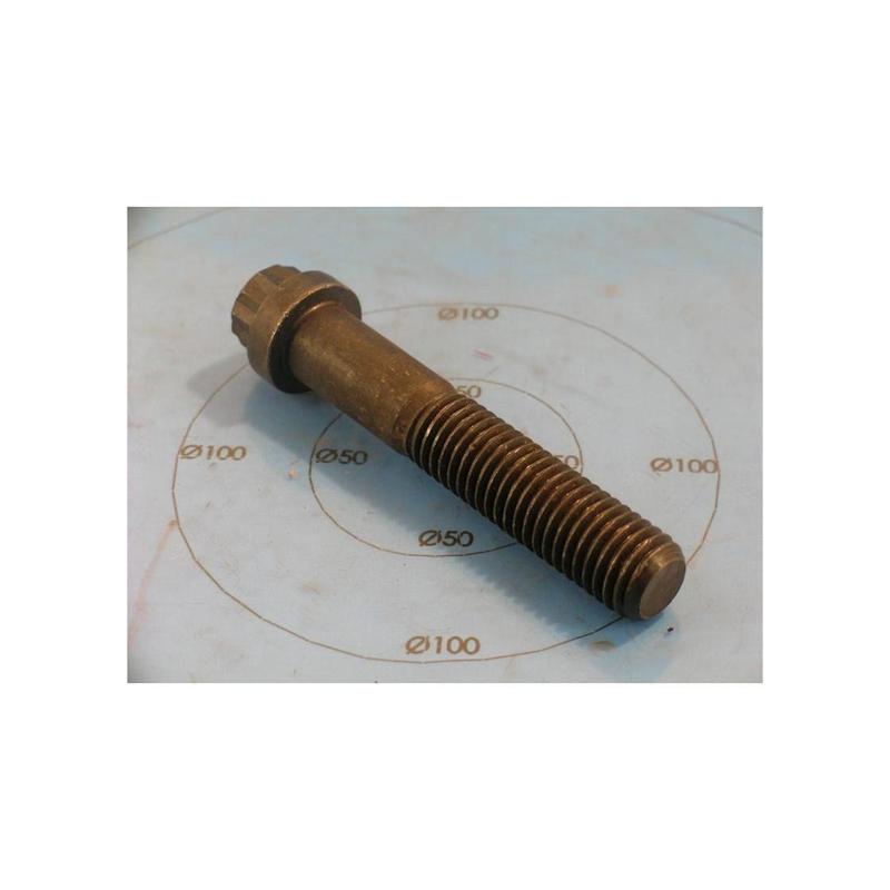 York - 021-11673-000 - Screw Cap 12pt Hd