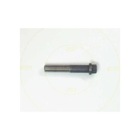 Screw Cap 12pt 5/16 -24x York - 021-11532-000 - Screw Cap 12pt 5/16 -24x