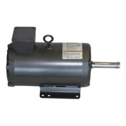 York - 024-25179-002 - Motor Fan 3 Hp Low Volt