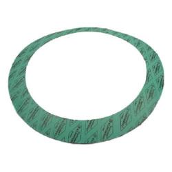 York - 028-15075-016 - Gasket Round ANSI 14.00-150#