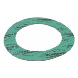 York - 028-15075-019 - Gasket Round ANSI 20.00-150#