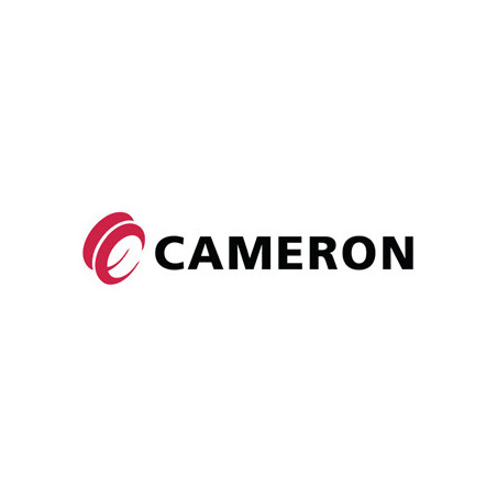 Cameron Logo