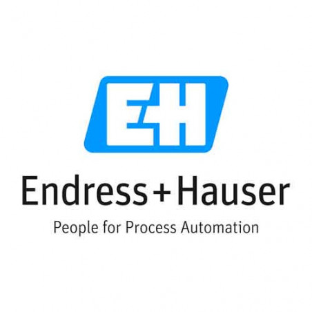 Endress-Hauser Logo