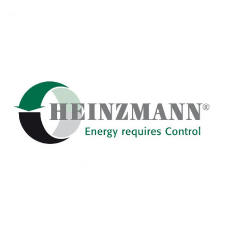 Heinzmann Logo