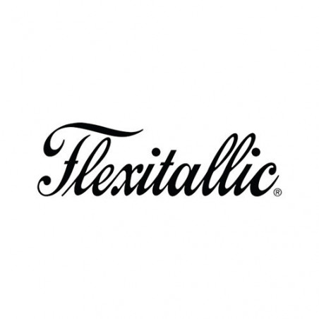 Flexitallic Logo