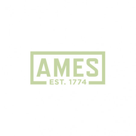 Ames Logo