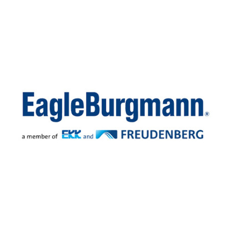 Eagle Burgmann Logo Eagle Burgmann Logo