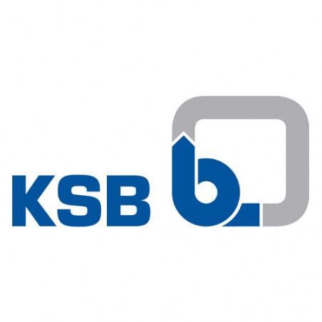 KSB Ecoline Logo