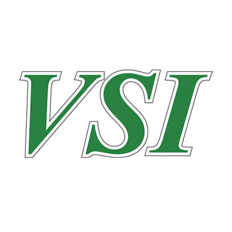 VSI Logo